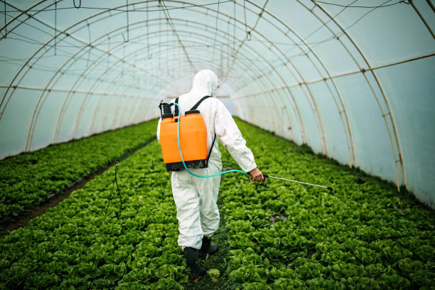 Best Pest Control Cost  in The Meadows, FL