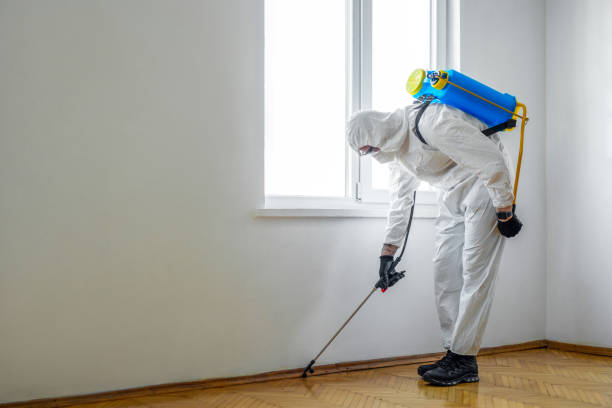 Wasp Removal Services in The Meadows, FL