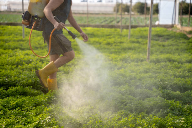Pest Control Cost in The Meadows, FL
