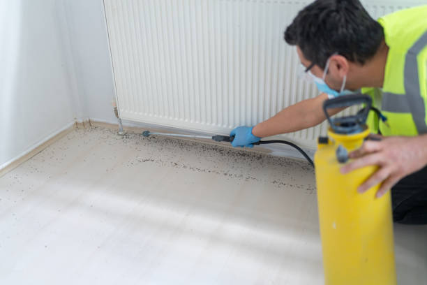 Best Exterminator Services  in The Meadows, FL