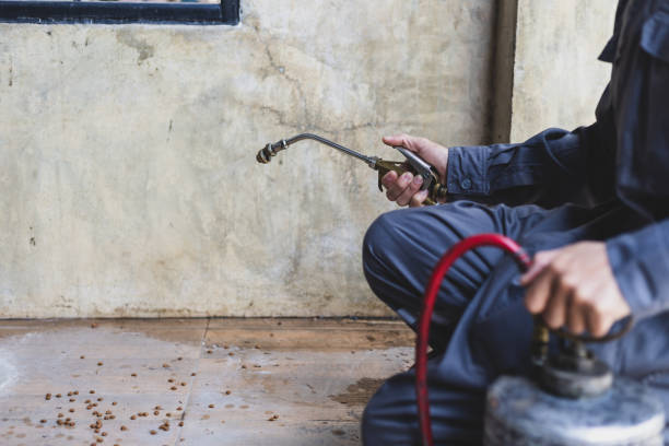 Best Emergency Pest Control  in The Meadows, FL